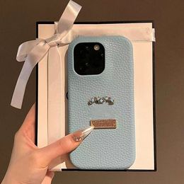 Designer Alphabet Lychee patterned leather phone case iPhone 15Pro Max 15Pro 13 Pro 12 14 ProMax 11 xsmax Fashion design leather cassette nameplate phone case cover