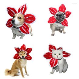 Dog Apparel Halloween Pet Hat Cannibal Flower Headgear Pography Props Funny Dogs Small Cute Chihuahua Print For Cat