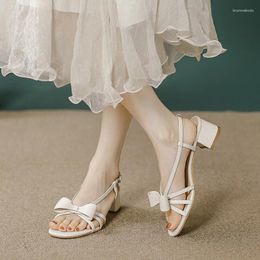 Casual Shoes Comfort For Women Sandals Straps Block Heels Open Toe Med Suit Female Beige 2024 Summer Fashion Elastic Band Chunky Low C