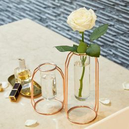 Vases Light Luxury Nordic Style Geometric Metal Frame Test Tube Vase Transparent Glass Hydroponics Planter Home Decoration 2024