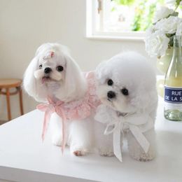 Dog Apparel Pet Lace Up Bow Dress Cute Neckline Cat Teddy INS Clothing Dresses For Small Dogs Puppy