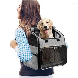 Cat Carriers Pet Dogs Portable Outdoor Travel Bag Mesh Breathable Go Out Carry Casual Puppy Kitten Backpack Supplies