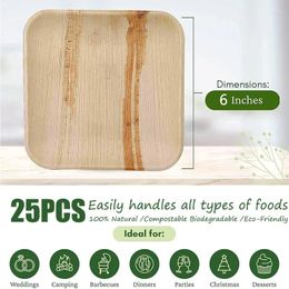 Plates 25pcs Disposable Palm Leaf Plate Square Appetizer Dessert Eco-friendly Dinnerware Bamboo Like Outdoor Weddings
