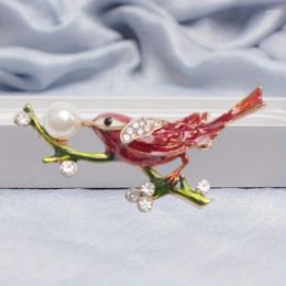 Brooches Creative Branch Bird Rhinestone Pearl Brooch Elegant Temperament Ladies Animal Pin