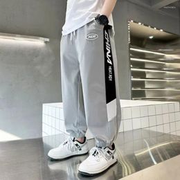 Trousers Spring Thin Boys' Sports Pants Kids Korean Summer High Street Fashion Sweapants Quality Children's Clothing 2024