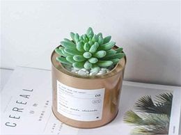 Flocking flower arrangement accessories fake succulent plastic decorative plant potted simulation9885106