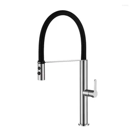 Kitchen Faucets Sink Faucet With Pull Out Sprayer Solid Brass 360 Degree Wide Spreading