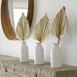 3PCS Decorative Flowers Wreaths 2PCS Palm Fan Leaf Dried Flower Mini Palm Leaves In Different Shapes Pampas Grasses Branches DIY Wedding Decorations Home Decor