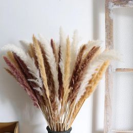 Decorative Flowers Small Pampas Grass Natural Dried 30Pcs/lot Bouquet Gift For Wedding Decoration Bohemian Home Decor Live Store