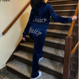 Juicy Apple Womens Tracksuits Velvet Sewing Suits Outfit Two Piece Jogging Set Velour Sweatshirt Met Hoodie Pants Suit6egse52