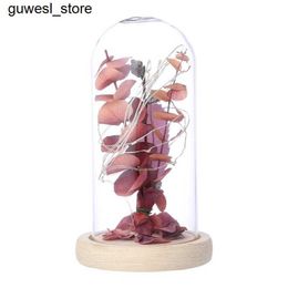 Night Lights Branches Leaves in Glass Dome LED Night Light Wedding Valentines Day Gift S240513