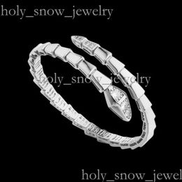 Bulgarie Jewelry Designer Jewelry Woman Bulgarie Bracelet Gold Love Wedding Jewelry Charm Bracelets Highend Snake Bone Bangle Lady Bracelet 5A High Quality 567