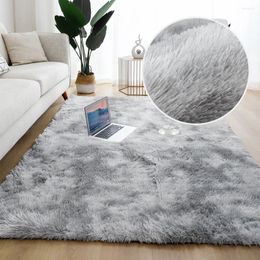 Carpets 70601 Fashionable Carpet Bedroom Cloakroom Lounge Mat Living Room Sofa Coffee Table