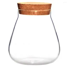 Vases Cork Glass Bottle Snack Travel Container Storage Pot Bubble Bowl Jar DIY Crafts High Borosilicate Succulent