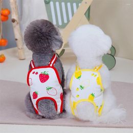 Dog Apparel Female Shorts Cat Puppy Physiological Pants Diaper Clothes Pet Underwear Cute Sanitary Briefs For Small Medium Girl Dogs