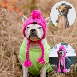 Dog Apparel Pet Winter Knitted Warm Hat Head Windproof With Cute Wool Braids Outdoor Snow Protectio Accessories