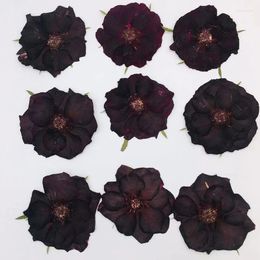 Decorative Flowers 60pcs 6-8cm Pressed Dried Black Rose Flower Herbarium Handicraft Epoxy Jewellery Card Bookmark Frame Phone Case Face Makeup