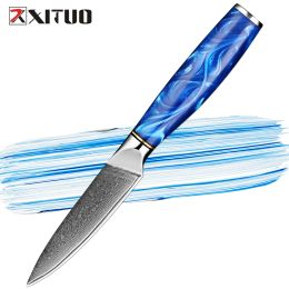 Professional Japanese Knife Damascus Steel Ultra-Sharp Elite Kitchen Chef Knife 3.5 Inch Paring Knife Vegetable Fruit Knife