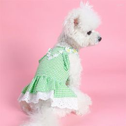 Dog Apparel Mini Lattice Cat Dress For Small Dogs Daisy Floral Lace Puppy Tutu Skirt Pet Products Summer Vest Designer Clothes
