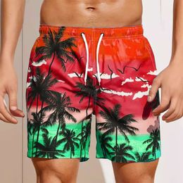 2024 Men's Loose Summer Beach Surfing Pants 3D Printed Cat Trendy Shorts M514 15