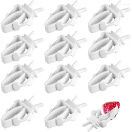 Other Bird Supplies Food Feeding Birds 12pcs Cuttlefish Pet Bone Vegtable Cage Holder Clamp Feeder Accessories Parrot Clip Device Fruit