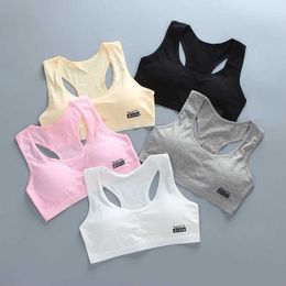 Camisole Summer Childrens 브래지어 아기 속옷 견고한 청소년 탱크 탱크 탑 어린이 의류 면화 어린이 훈련 브래지어 8-12 세 Oldl2405