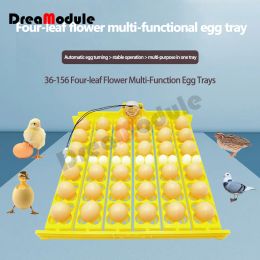 Accessories Fully Automatic Eggturning Egg Tray Small 36 Egg Incubator Egg Tray 156 Bird Egg Tray with Motor AC 12V 110V 220V DC12V