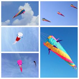 Free delivery package windsocks kite tails riptop nylon fabric inflatable kit accessories 3D kite pendant sports toy 240428