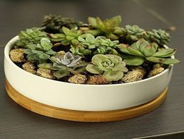 Modern White Ceramic Round Succulent Cactus Planter Pot with Drainage Bamboo TrayDecorative Garden Flower Holder Bowl3791955