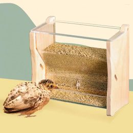 Other Bird Supplies Parrot Food Box Practical Feeder Smooth Edge Excellent Pet With Dust-proof Lid Product