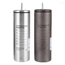 Water Bottles Stainless Steel Straw Cup Metal Cups Leak-Proof Coffee Mug Bottle Modern Insulated Tumbler
