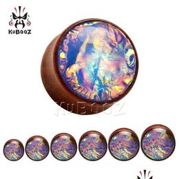 Plugs Tunnels Kubooz Solid Rosewood Inlaid Opal Ears Piercing Gauges Ear Tunnel And Body Jewellery Making Supplier 8Mm To 25Mm 54Pcs Dh67Z
