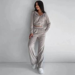 fashion suit long sleeved trousers comfortable suit silver fox velvet blouse pants sets for women 2 pieces 240507