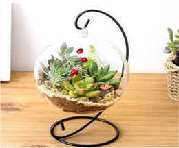 s wholes Round Ball With One Hole Hydroponic Plant Flower Hanging Glass Vase Container Home ornament vase Planters Pots Gard9536390