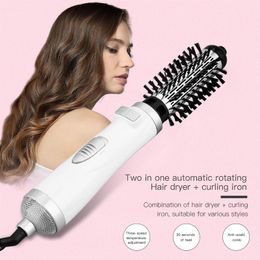 Rotating Hair Dryer Brush Electric Blow Drier Comb Air Straightener Curler Iron One Step 2 Gears Blower Replaceable Heads 240506