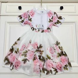 Top Princess dress baby tracksuits Size 90-150 CM kids designer clothes Flower print girls t shirt and Short Skirt 24Mar