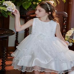 Girl Dresses 2024 Spring And Autumn Girls/Children's Fashion Leisure Embroidered Flower Princess Dress Tank Top 3-7 Years Old