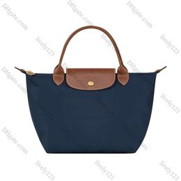 Luxury Designer Canvas Bag Ladies Clutch Tote Bag Messenger Bag Multi Colour Shopping Bag Dumpling Bag with Shoulder Strap G231062pe-6