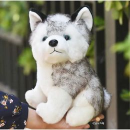 Stuffed Plush Animals Kawaii puppy stuffed toy 10/20cm cute simulation Husky dog plush toy stuffed doll baby toy plush Husky doll B240515