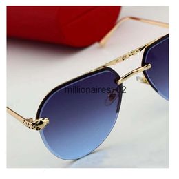 Designer Catier Glasses Cycle Luxury Polarize Sports Sunglasses For Woman Mens New Fashion Baseball Driving Cat Eye Lady Run Sun Glasses