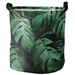 Laundry Bags Tropical Green Plant Coconut Tree Dirty Basket Foldable Home Organiser Clothing Kids Toy Storage