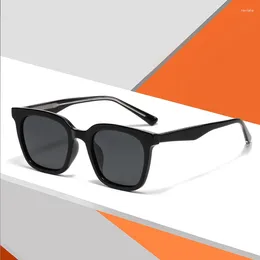 Sunglasses 53mm TR Polarised For Men And Women Men's Driving Mirror Fishing Glasses Classic Outdoor Sun 62650
