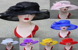 Fashion hat wide brim church dress wedding party beach flowers multilayer Organza8105987