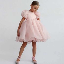 Girl's Dresses Girls Pink Wedding Party Princess Dress for 3-8 Yrs Kids Puff Sleeve Fluffy Tutu Gown Toddler Girl Birthday Formal Evening Dress Y240514