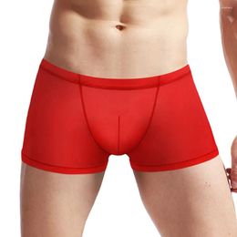 Underpants Mens Sexy Silk Lingerie See Through Low Rise Mesh Boxer Brief Pouch Trunks Shorts Breathable Men's