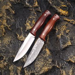 High Quality A2569 High Quality Survival Straight Knife 440C Satin/Laser Pattern Drop Point Blade Full Tang Wood Handle Outdoor Fixed Blade Hunting Knives