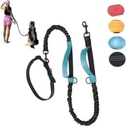 Dog Collars Outdoor Running With Retractable Traction Belt Sports Walking Chain Nylon Handle Anti Riot Elastic Rope