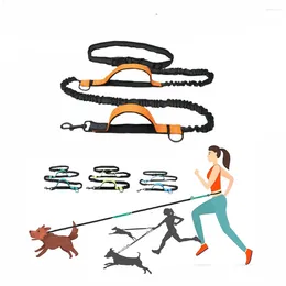 Dog Collars Reflective Running Leash Hands Free Elastic Bungees Collar Harness Rope For Medium Large Walking Hiking Biking