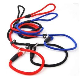 Dog Collars Solid Leash Rope For Small Large Dogs Outdoor Training Pet Belt Nylon Cat Leashes Lead Accessories Stuff