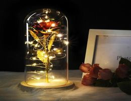 Medium Red Rose In A Glass Dome On A Wooden Base For Valentine039s Gifts LED Rose Lamps Christmas9312763